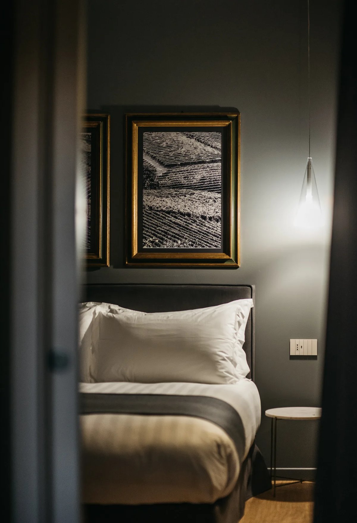 AgriSuite Il Cedro — immagine 19
