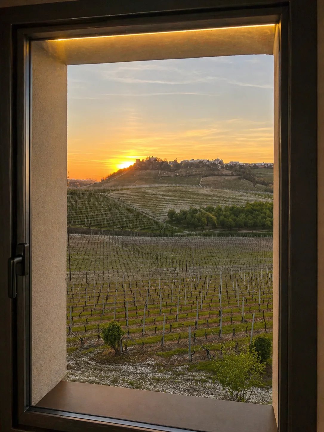 Panoramic Suite Green — image 1