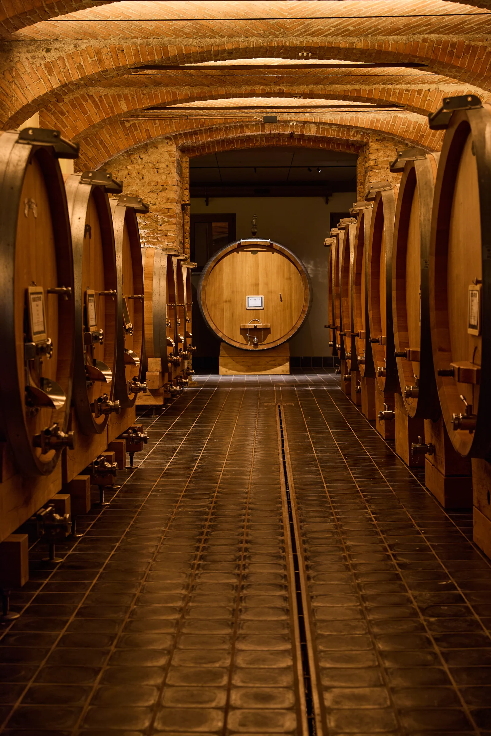 Cantina Oddero, La Morra (CN), Piemonte